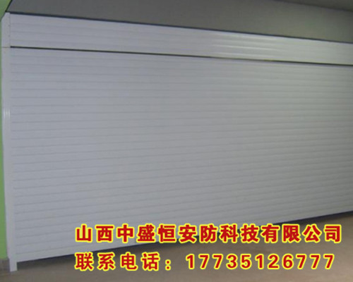 普通烤漆車(chē)庫(kù)門(mén)